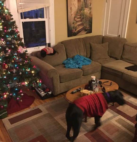 Upper Living room (2015)